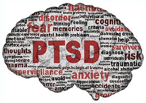 PTSD Brain