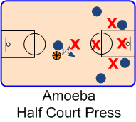 Amoeba Defense